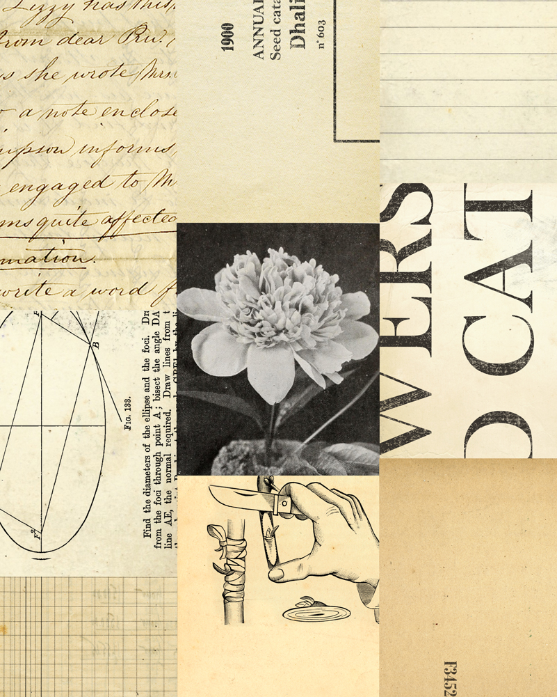 Collage Dahlia full image