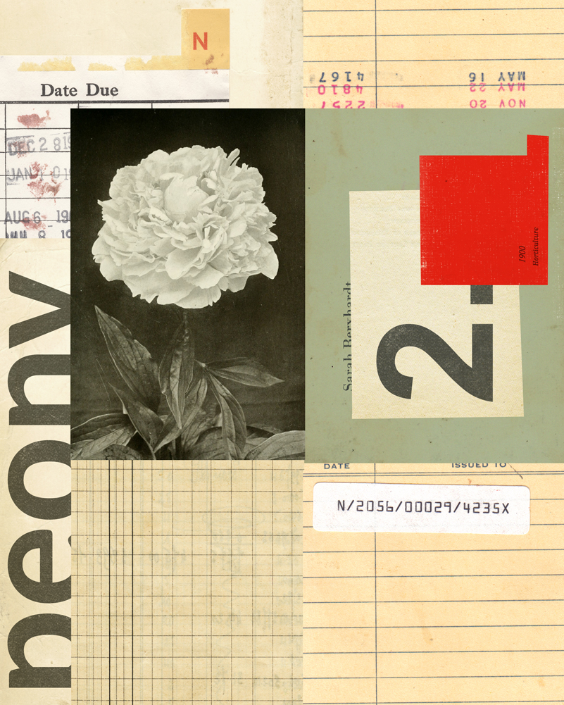 Collage Peony 2 full image