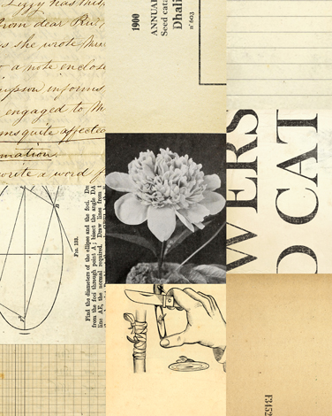 Collage Dahlia thumb image