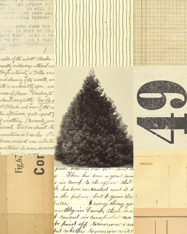 Collage Tree 49 thumb image